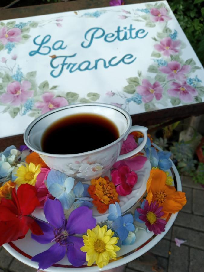 La Petite France Hotell Nova Petropolis Exteriör bild