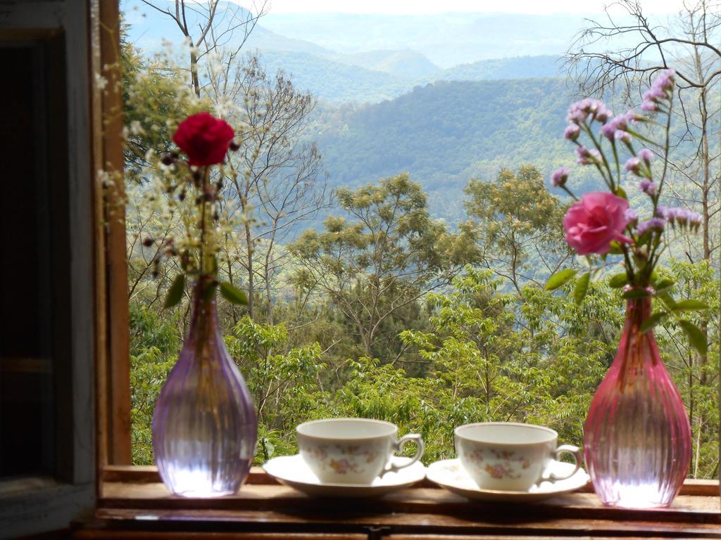 La Petite France Hotell Nova Petropolis Exteriör bild
